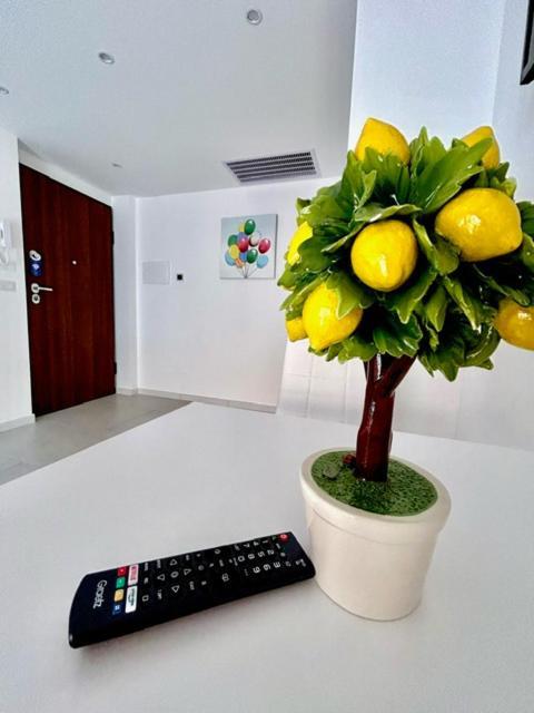 Aqua Marine B&B - Rooms And Apartments Milazzo Dış mekan fotoğraf